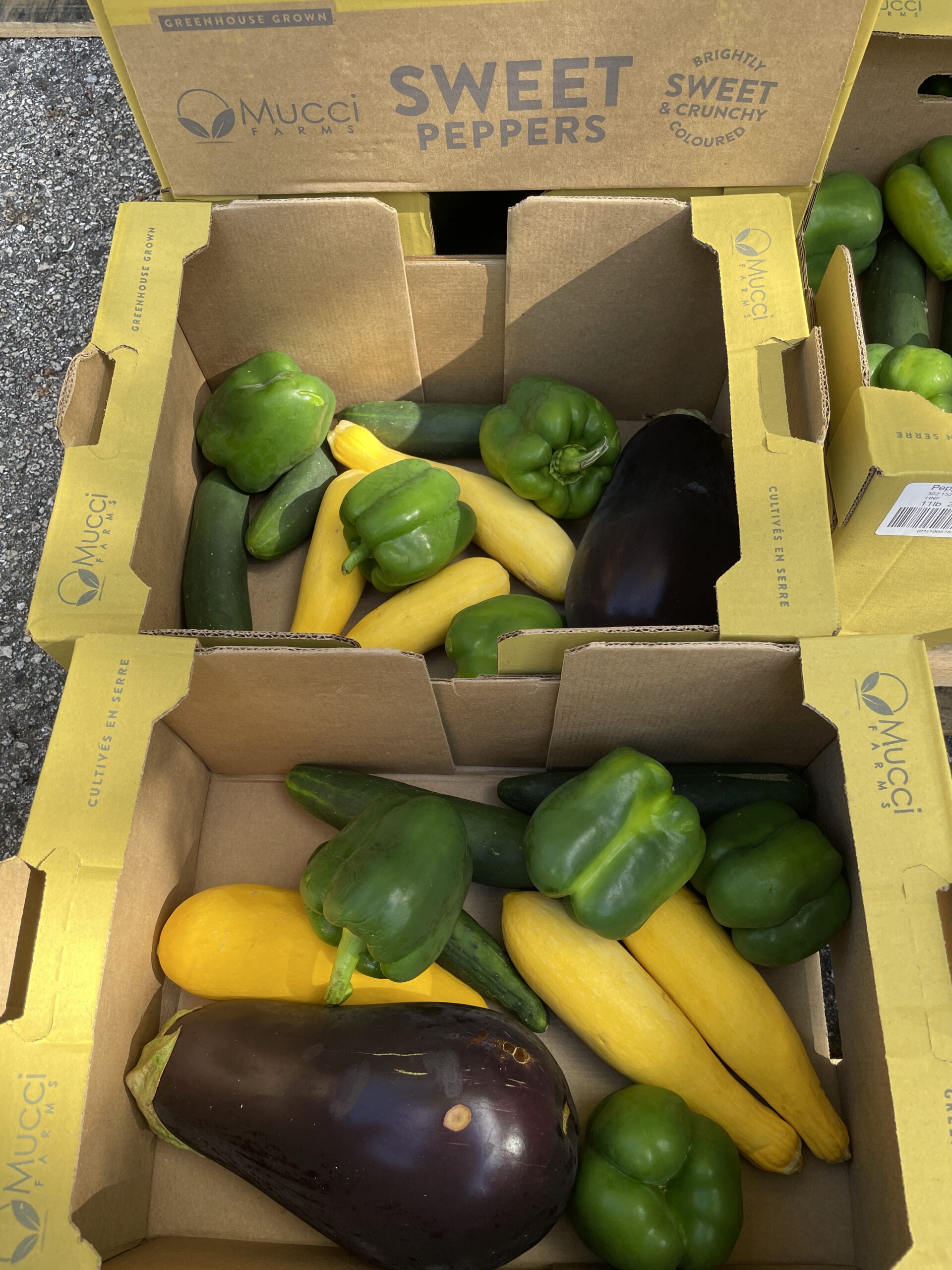 Palm Beach Food Bank Food Drive and Donation Event